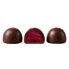 Blackcurrant Bites in Chocolate