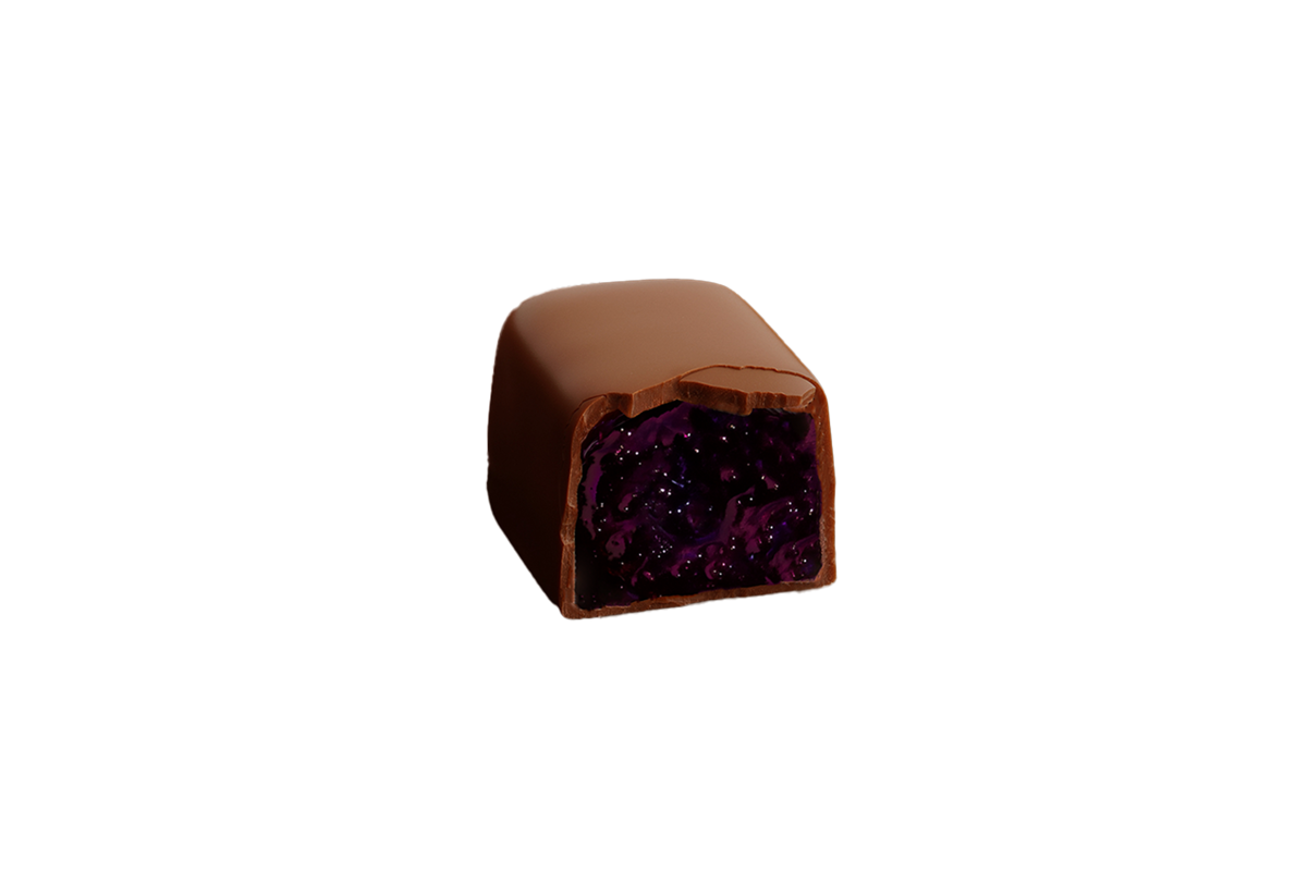 Blackcurrant Bites in Chocolate - 125 g