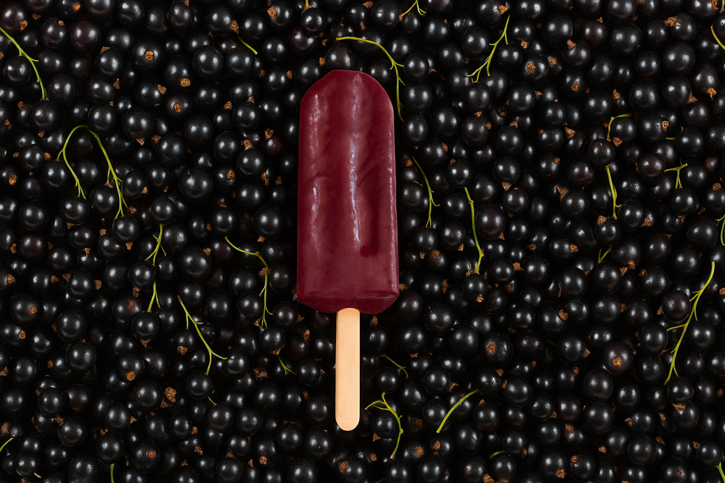 Black currant