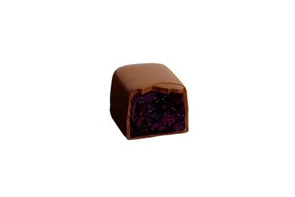 Blackcurrant Bites in Chocolate - 125 g