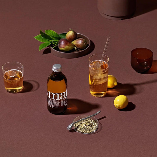 Charitea Mate Ginger Organic Sugarfree