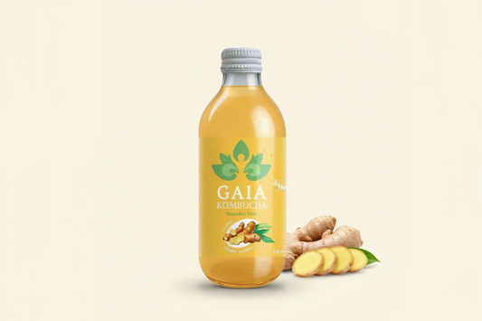 Gaia Kombucha Ginger Insight